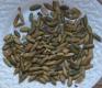 How To Make Pepitas