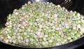 How To Make Wild Pigeons Perugian