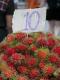 Rambutan