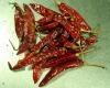 Red Chillies