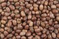 Red Mung Beans