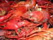 Red Lobsters