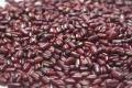 Rice Bean