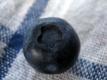 Ripe Blueberry