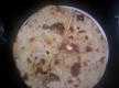 Roti Or Indian Flat Bread