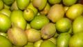 Shahi Bair (indian Plum)