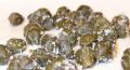 Salted Capers