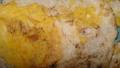 Semi Fried Eggs