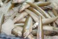 How To Make Pan Fried Smelts