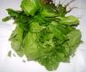 Chopped Spinach