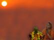 Sun God With Fruits