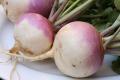 Ham & Turnips Au Gratin