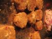 Cheese And Vegetable Cutlets