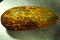 Yellow Cucumber