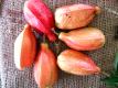 Ackee