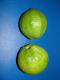Guava Fruits