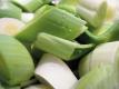 Allium Porrum