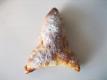 Appelraket Met Poedersuiker