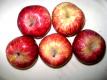 Indian Apples