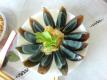 Arranged Century Egg On A Plate