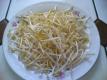 Bean-sprouts