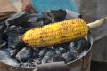 Bhutta