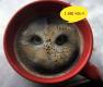 Call The Bird Of Prey Into Your Coffee By Dunking A Pair Of Hula Hoops !