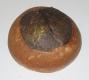 Cabbage Loaf