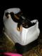 White Vanity Bag Cake