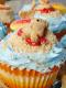California Tan Cupcakes With Bear On Sand