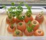Vegetable Tops