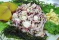 Ceviche Of Octopus
