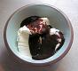 Chocolate Sauce And Vanilla Icrecream