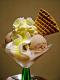 Chocolate Vanilla Icecream