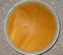 Classic Chicken Gravy