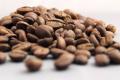 Coffee Arabica