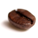 Coffee Bean Transparent