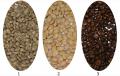 Coffee Roasting