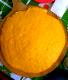 Cornmeal Mush