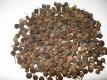 Cubeb