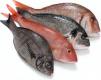 Eat Fish Regularly