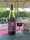 Domaine Puymarquis