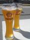 Erdinger Draft
