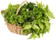 Fresh Herbs