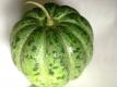 Fresh Melon