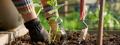 Grow Your Own Garden