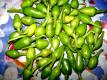Green Chillies