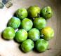 Harvested Greengages