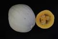 Hopi Pale Grey Squash