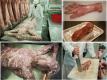 Welcome To The Worlds First Human Butchery !